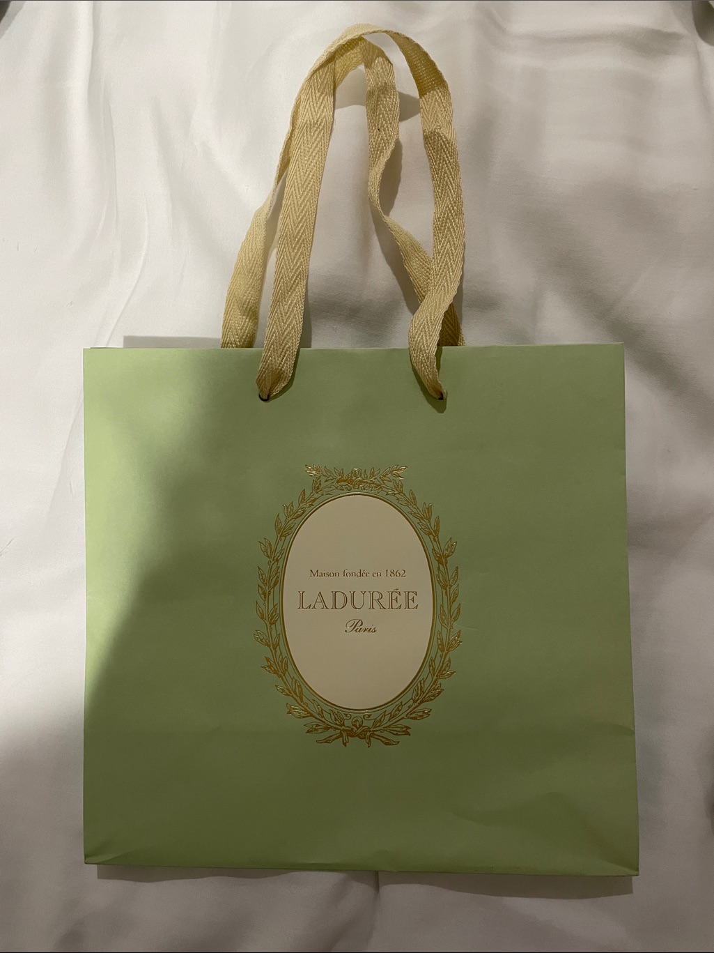 Pale Green Gift Bag With Cream Handles